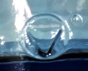 Inverted triangle inside circle trademark as seen on the heel area of a light blue glass Clearly Canadian cherry flavored soda water bottle, date code of 2019