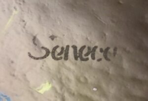 "Seneca" signature on base of dark olive green tumbler